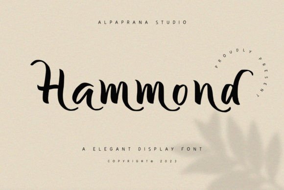 Hammond display font preview