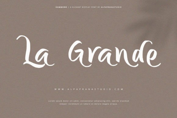 Hammond font shown in an elegant typography design